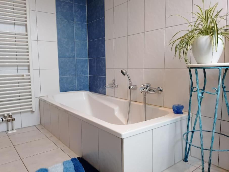Loft Eifel Idylle Apartment Nettersheim Exterior foto